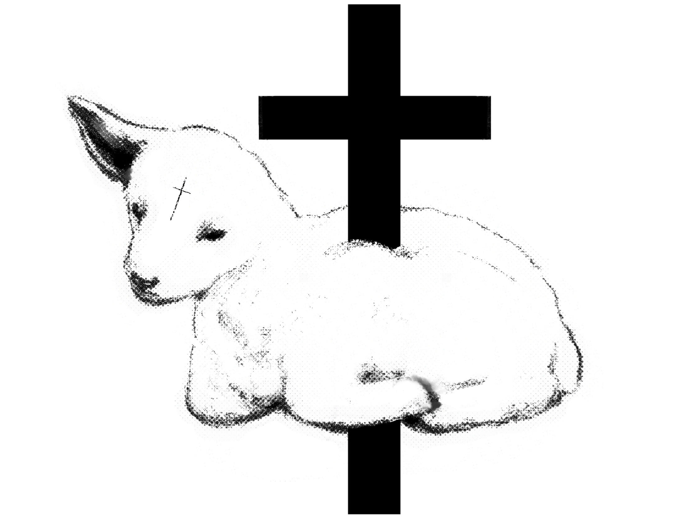 Lamb of Youth 3300 x 2550px 2024